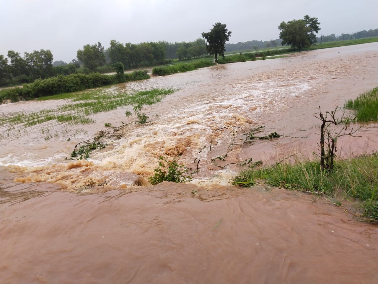 8d70ec4c2b40357cbb389cb231c30208_1639152559