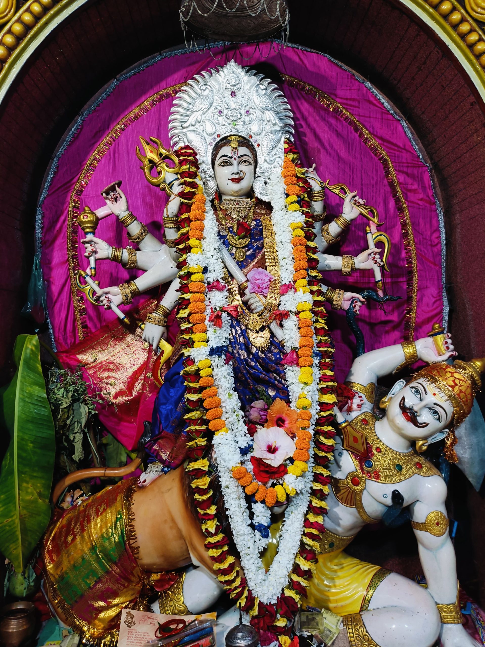 81c4c812159026b16a568a8c259c537e_739479127