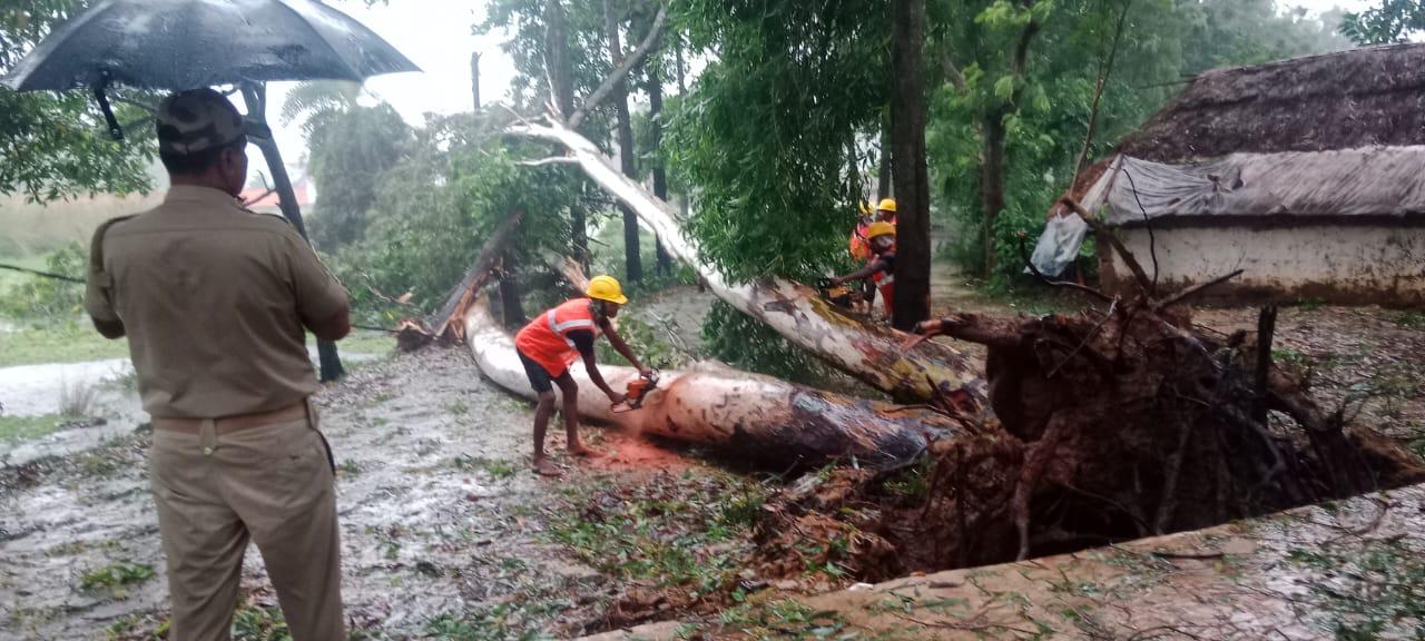 WhatsApp Image 2024-10-26 at 08.19.56