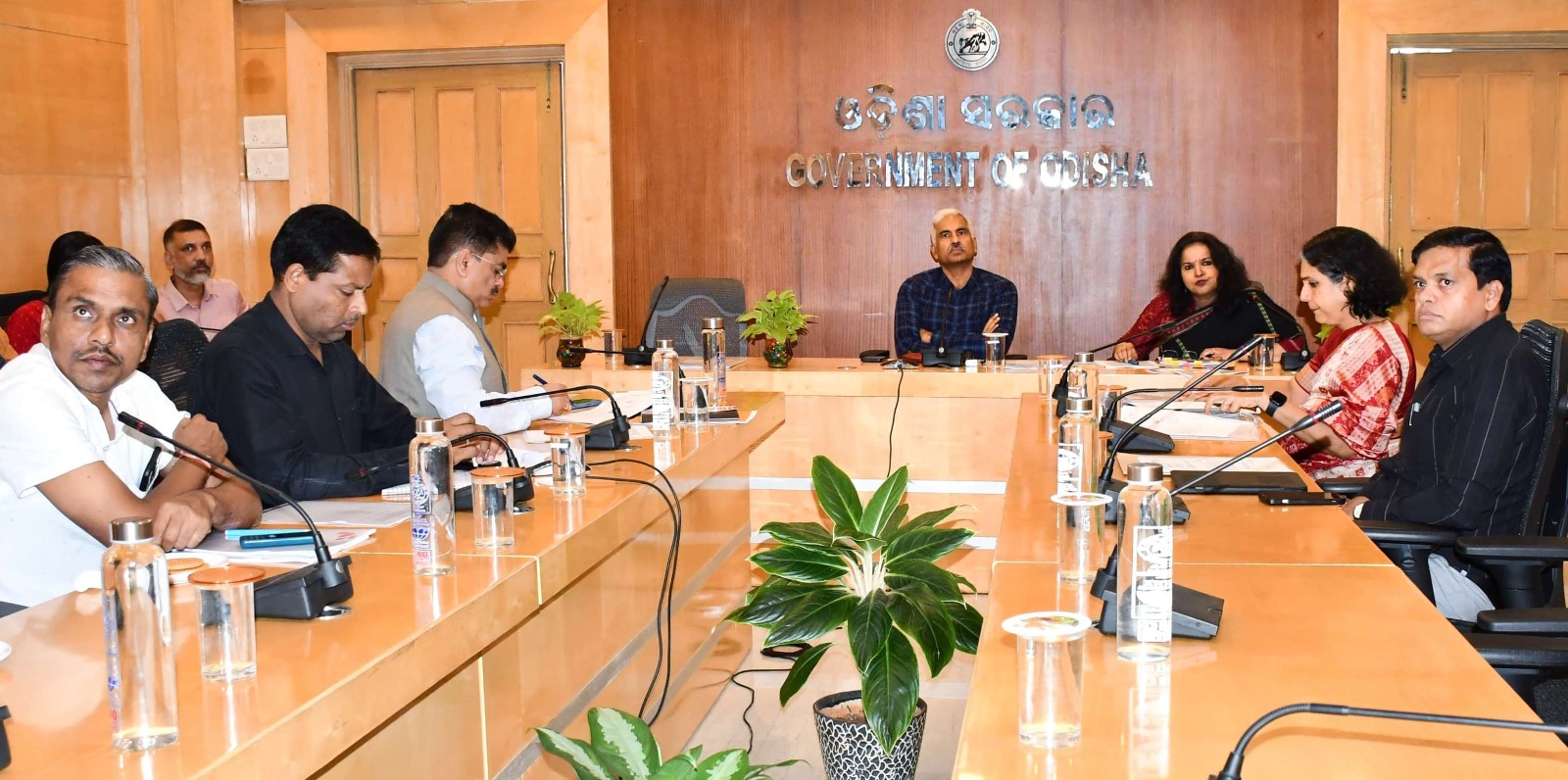 WhatsApp Image 2024-11-13 at 16.36.15