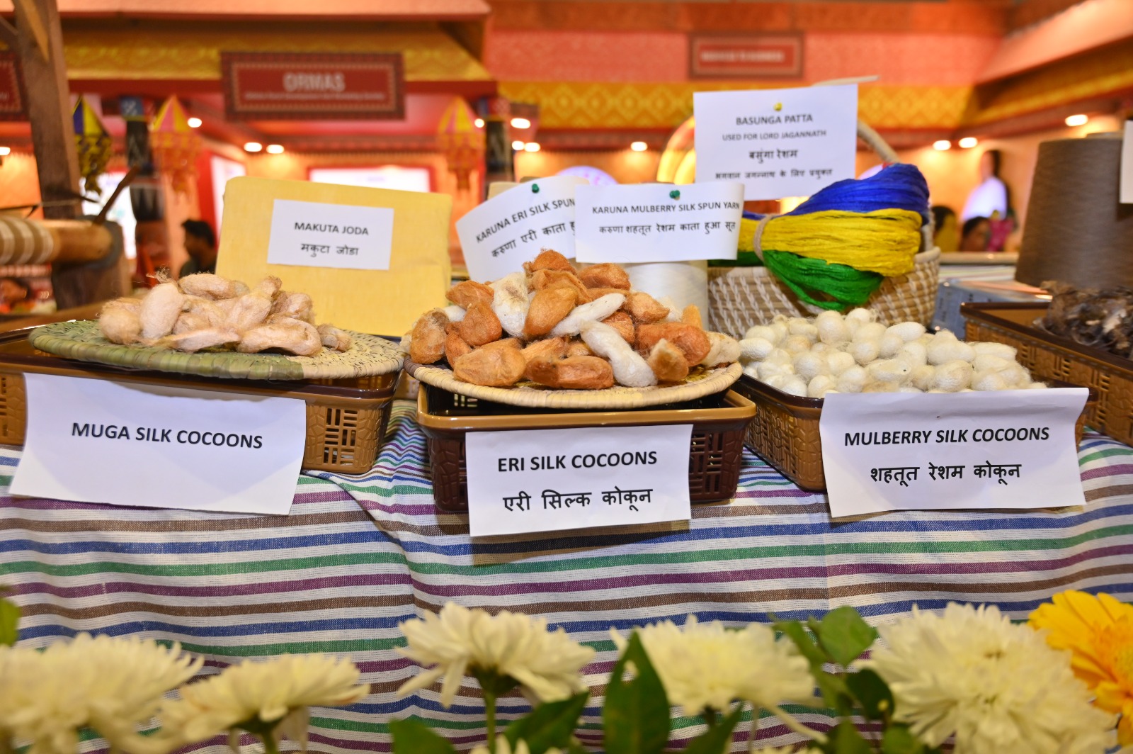 WhatsApp Image 2024-11-23 at 18.07.09