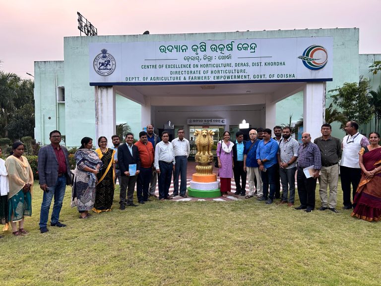 WhatsApp Image 2024-12-04 at 17.02.49