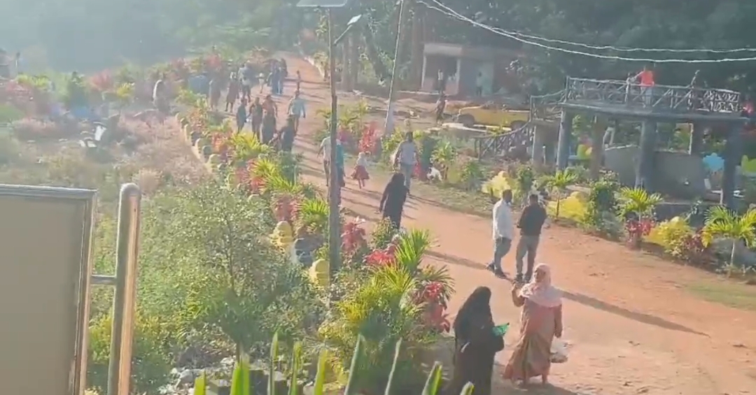 deb8da241d5c7d84c1e8371e08b6a5f1_528340249