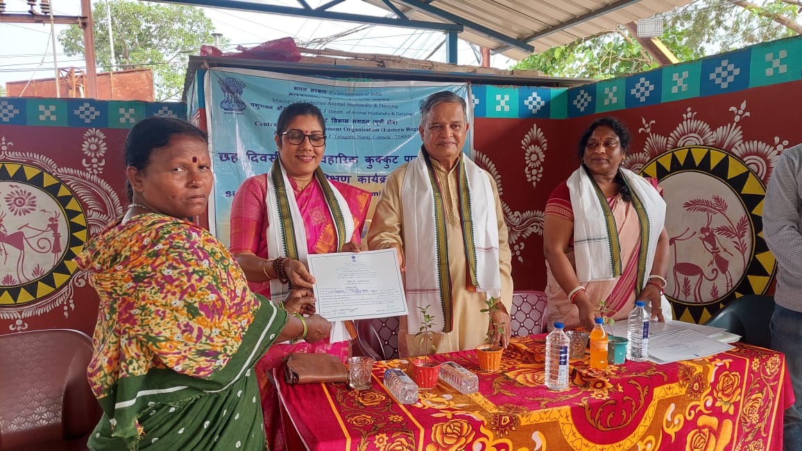 WhatsApp Image 2025-03-23 at 19.42.51