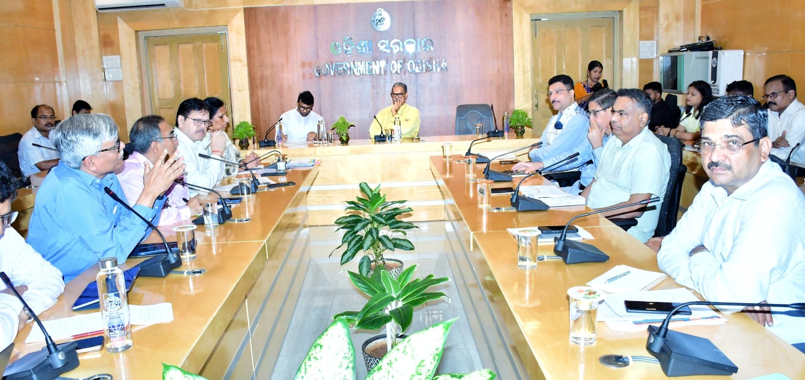 WhatsApp Image 2025-04-22 at 16.16.19