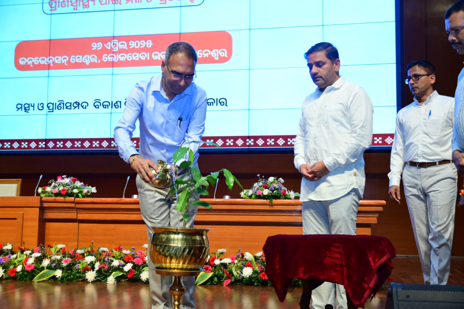 WhatsApp Image 2025-04-26 at 17.39.11