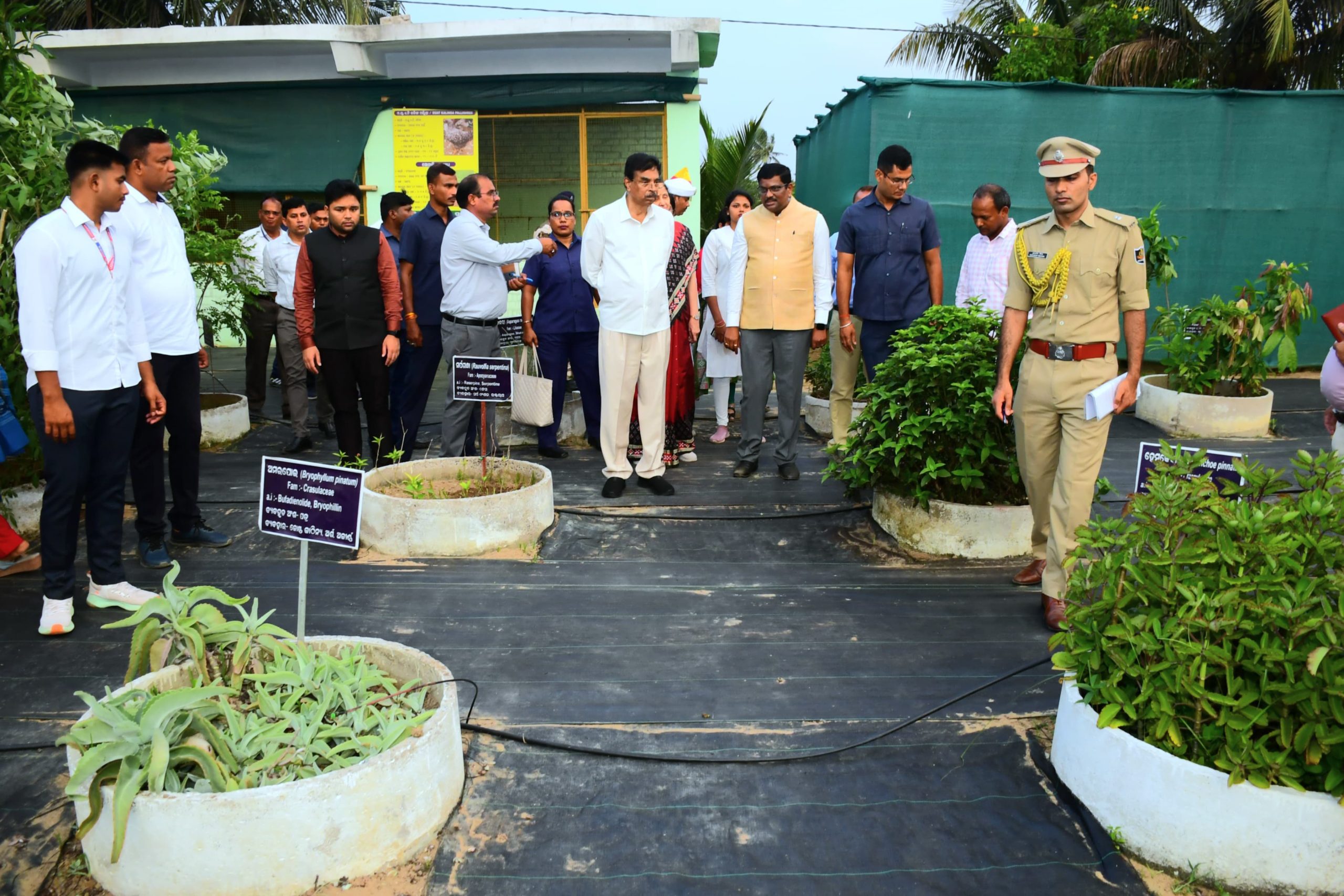 e7520ed2ba60e2cdc85bd4ffec613106_756748488