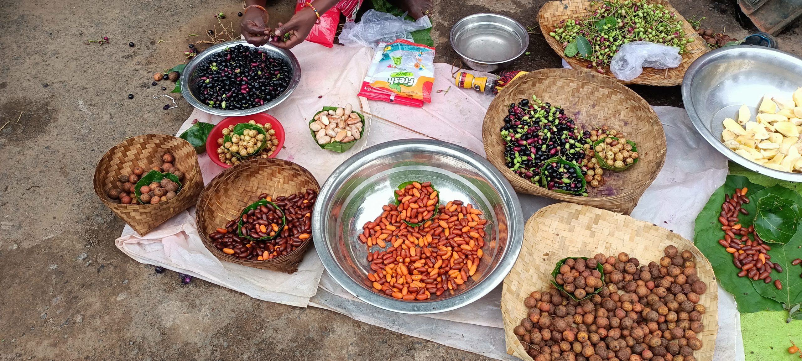 a6355845a1694ba8a04be07f52e9f67d_1743266553