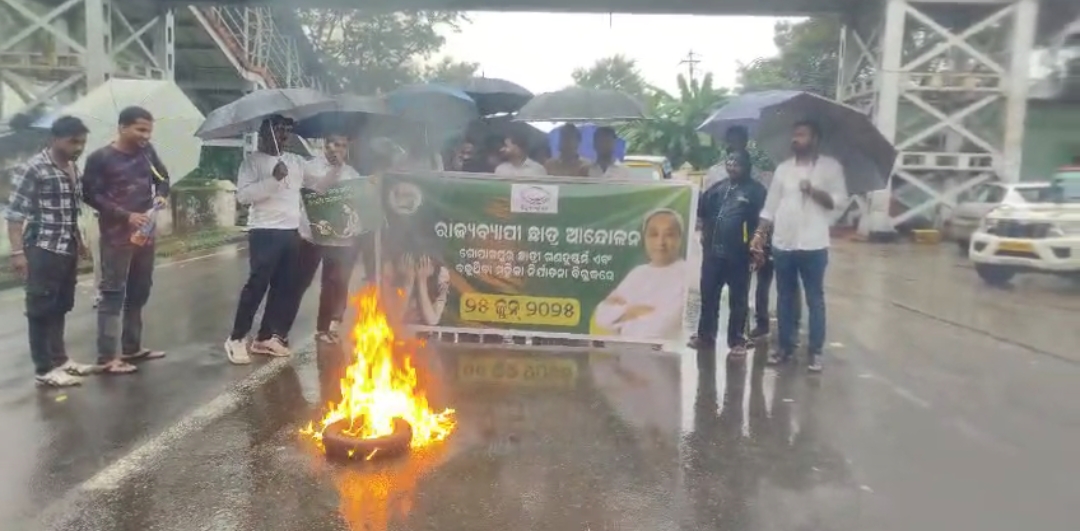 30e646dbbd38a12e89c0cca69313cb7b_728210776