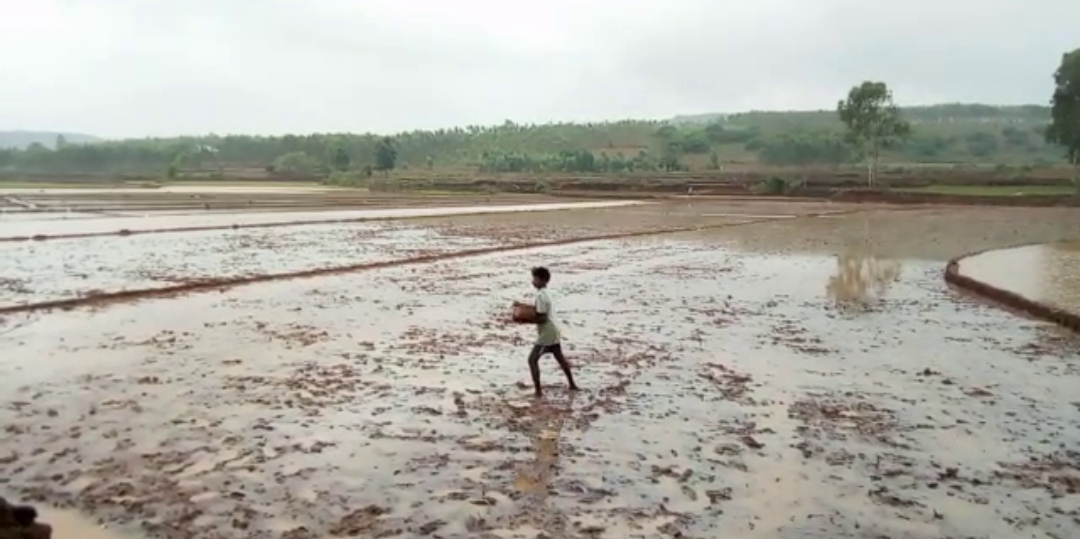 43d97f8effe1972f19ff72cb2cf54e7f_1037089459