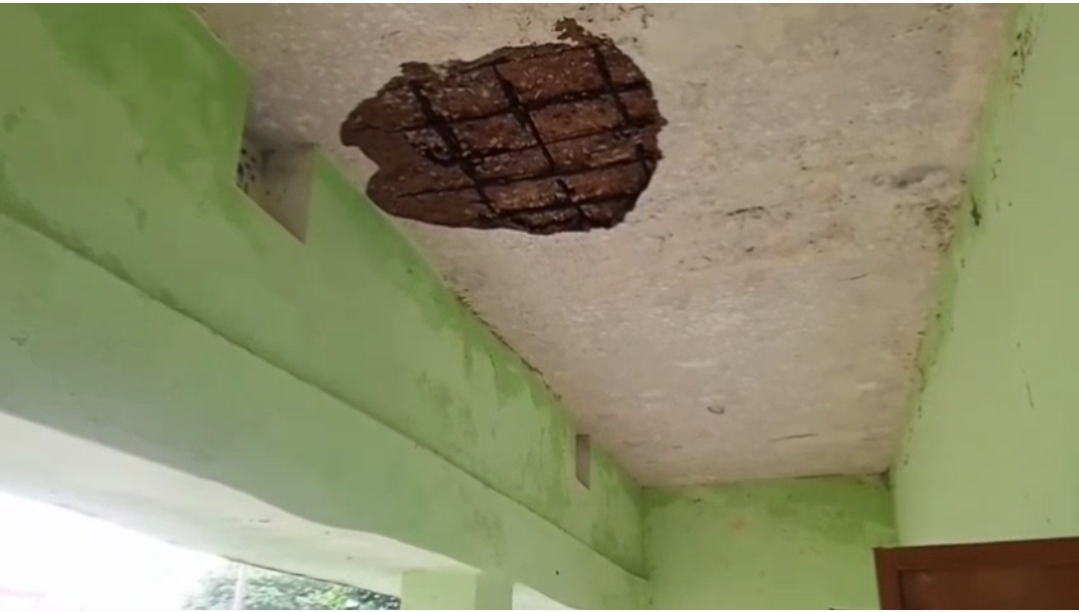 cd96d2a2d4cd56cea83debb917c5a64c_905761815