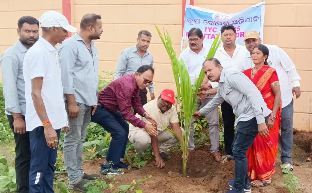 853a17f370717a7fcfad2f30cad6b0d9_394014333