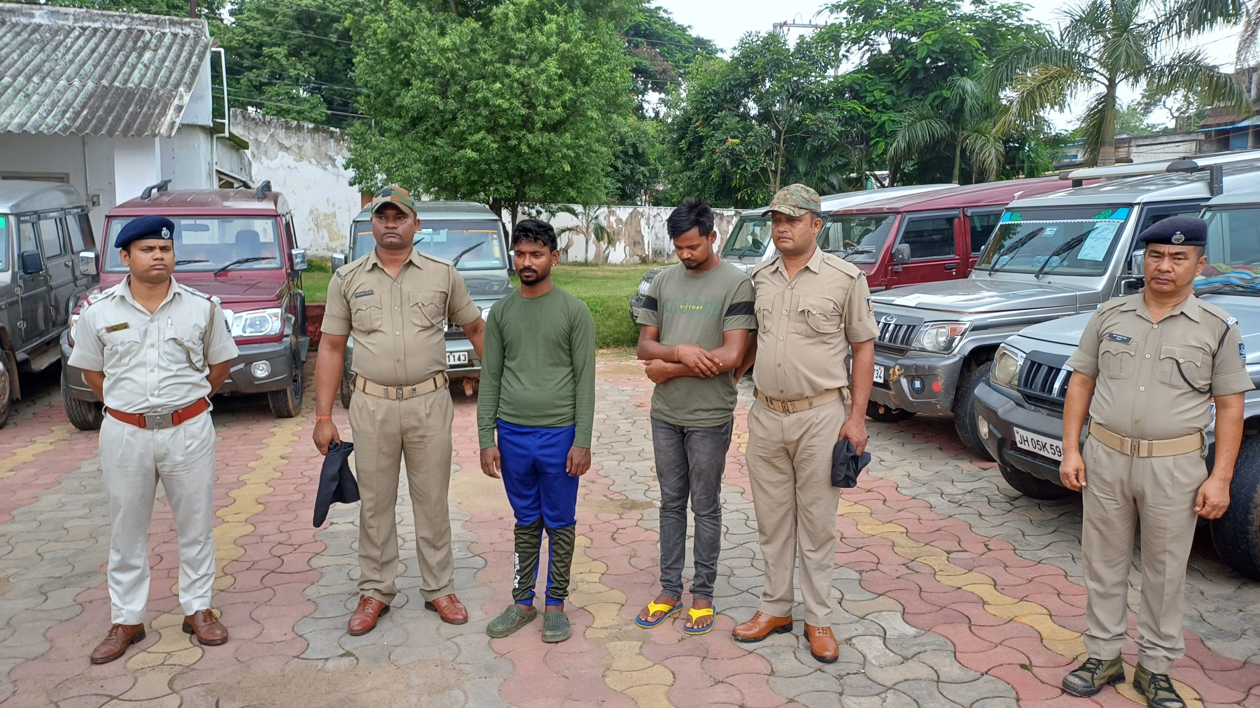 8712dc67c950cdd2b3e189312e55ae31_76654725